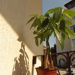 Adrys Boutique קונסטנצה