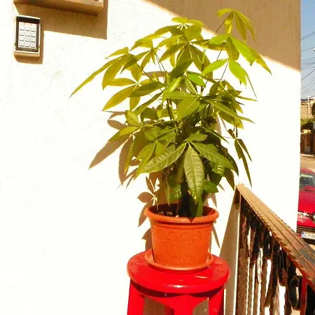 Guest house Adrys Boutique