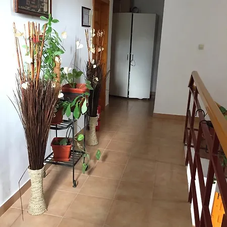 Guest house Adrys Boutique Constanta