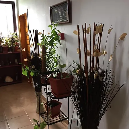 Pensión Adrys Boutique