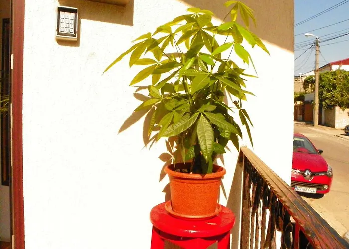 Guest house Adrys Boutique