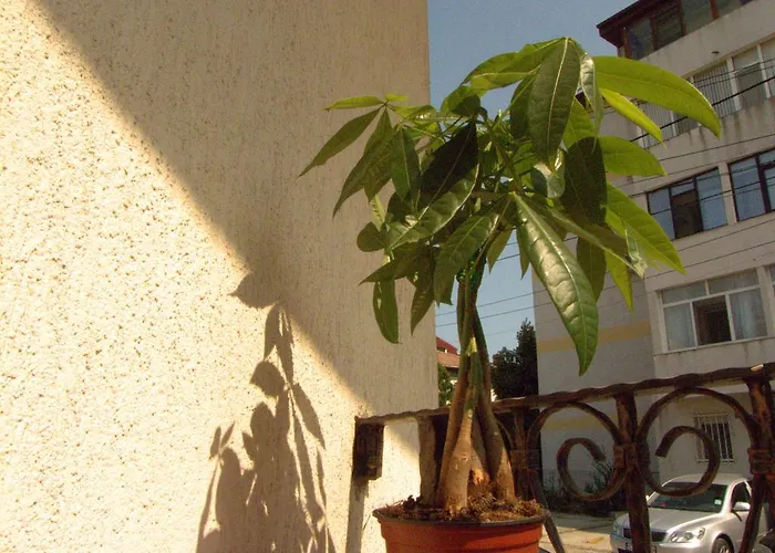 Adrys Boutique Constanta