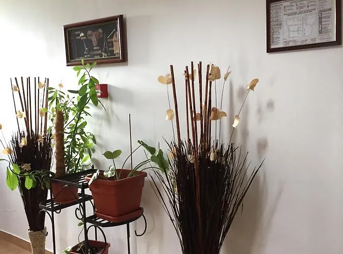 Adrys Boutique Guest house 4*