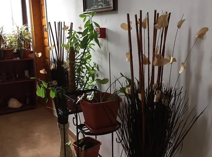 Guest house Adrys Boutique